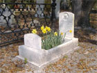 cradle_grave