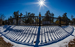 adultSingle Oakdale Cemetery