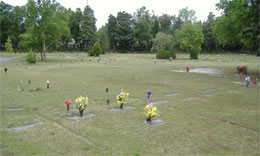 memorialparksection