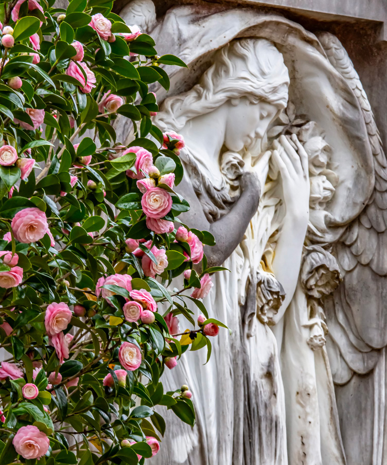 oakdaleFriends Oakdale Cemetery