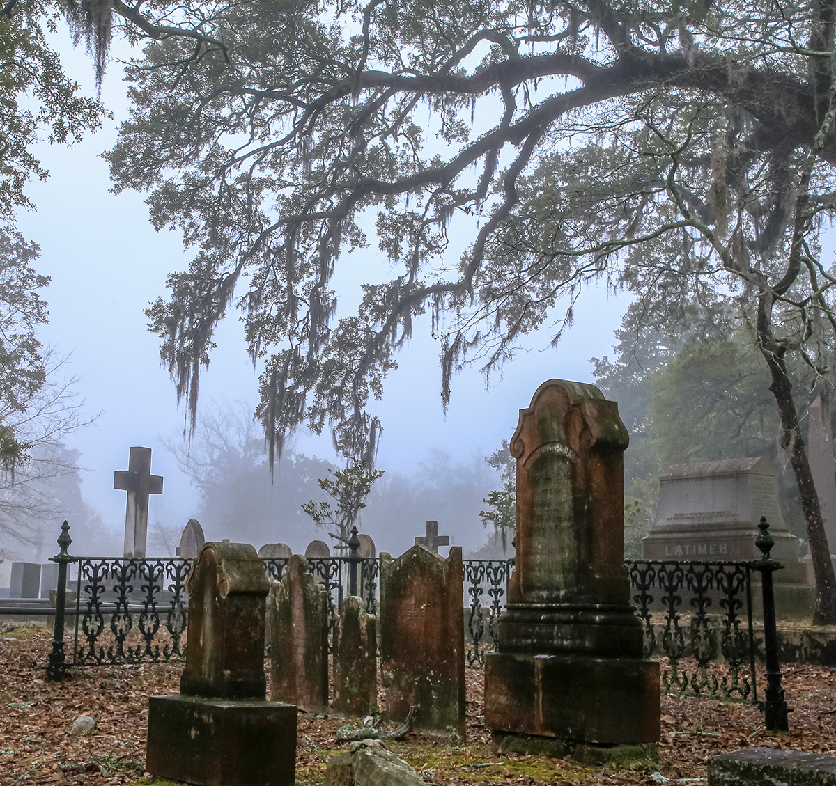 Oakdale Cemetery Wilmington NC